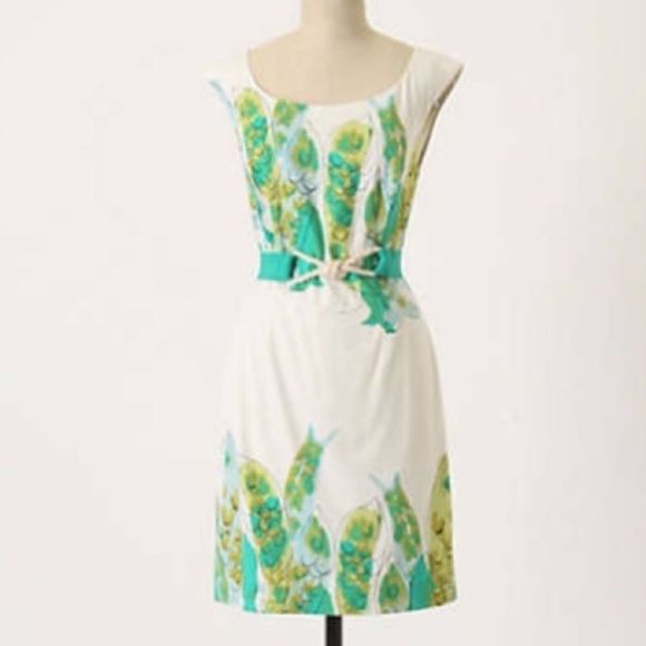 Anthropologie Dresses & Skirts - Anthro We Love Vera Sketched Danios Fish Dress Size 6